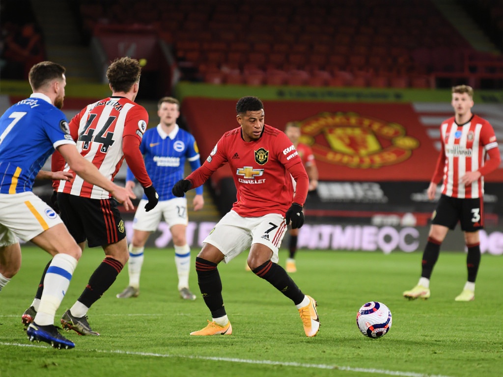 赛的需求 赛的需求