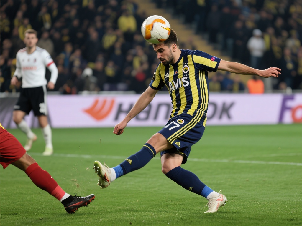 并不只是一 并不只是一